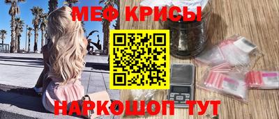 крисы Кингисепп