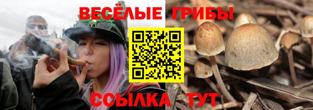 Галлюциногенные грибы прущие грибы  Вход с VPN  Галлюциногенные грибы MAGIC MUSHROOMS  Краснознаменск 